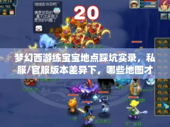 梦幻西游练宝宝地点踩坑实录，私服/官服版本差异下，哪些地图才是经验金矿？