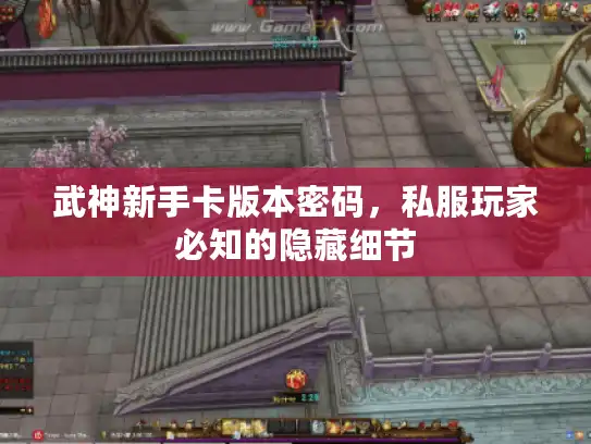 武神新手卡版本密码,私服玩家必知的隐藏细节 武神新手卡版本密码,私服玩家必知的隐藏细节