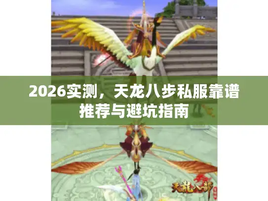 2026实测,天龙八步私服靠谱推荐与避坑指南 2026实测,天龙八步私服靠谱推荐与避坑指南