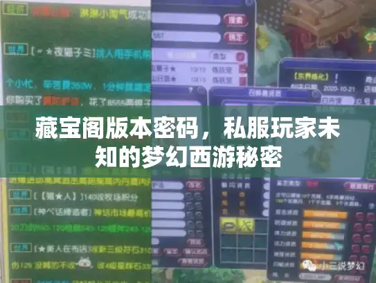 藏宝阁版本密码，私服玩家未知的梦幻西游秘密