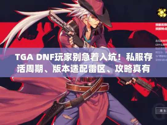TGA DNF玩家别急着入坑！私服存活周期、版本适配雷区、攻略真有效值我测了30天