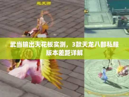 武当输出天花板实测，3款天龙八部私服版本差距详解