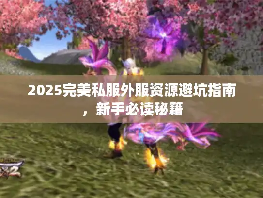 2025完美私服外服资源避坑指南，新手必读秘籍