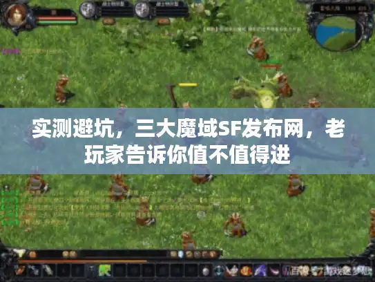 实测避坑，三大魔域SF发布网，老玩家告诉你值不值得进