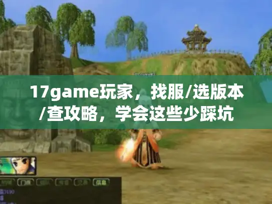 17game玩家，找服/选版本/查攻略，学会这些少踩坑