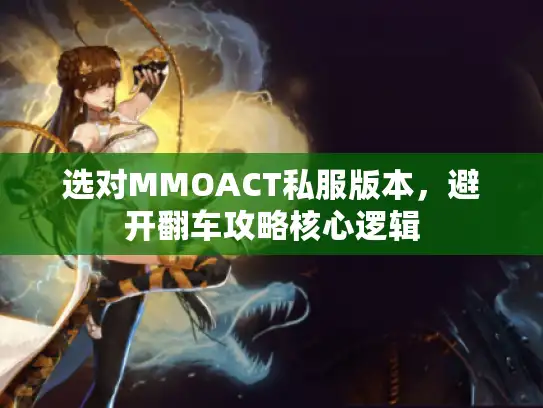 选对MMOACT私服版本,避开翻车攻略核心逻辑 选对MMOACT私服版本,避开翻车攻略核心逻辑