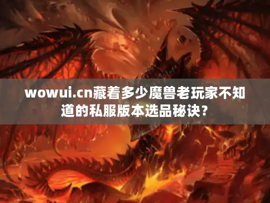 wowui.cn藏着多少魔兽老玩家不知道的私服版本选品秘诀？