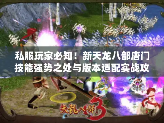 私服玩家必知！新天龙八部唐门技能强势之处与版本适配实战攻略