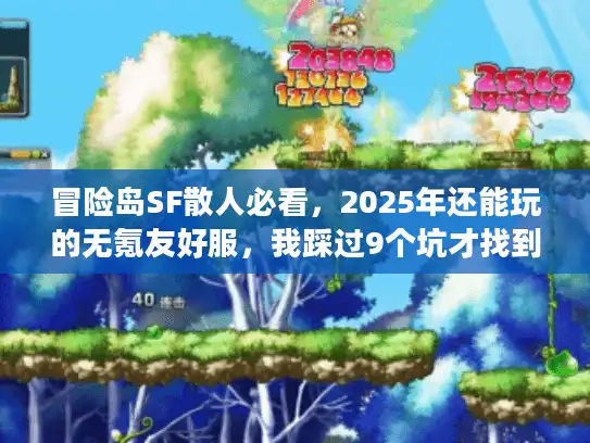 冒险岛SF散人必看,2025年还能玩的无氪友好服,我踩过9个坑才找到答案 冒险岛SF散人必看,2025年还能玩的无氪友好服,我踩过9个坑才找到答案