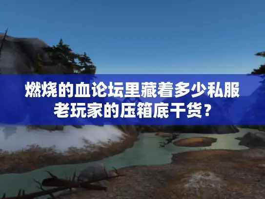 燃烧的血论坛里藏着多少私服老玩家的压箱底干货？