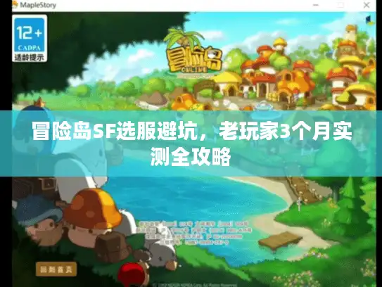 冒险岛SF选服避坑，老玩家3个月实测全攻略
