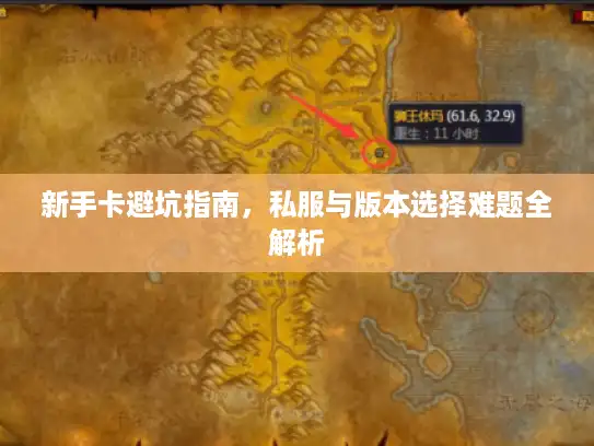 新手卡避坑指南，私服与版本选择难题全解析