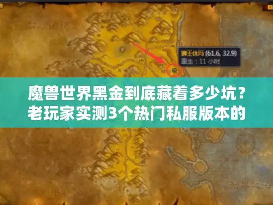 魔兽世界黑金到底藏着多少坑？老玩家实测3个热门私服版本的避坑指南