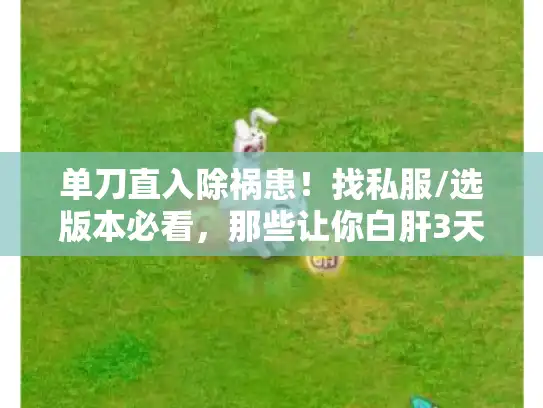 单刀直入除祸患！找私服/选版本必看，那些让你白肝3天的隐形祸患怎么破？