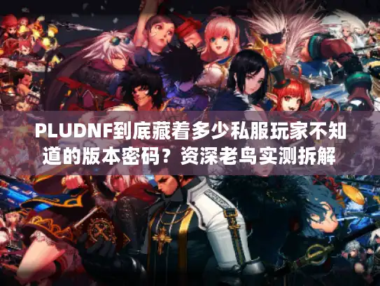 PLUDNF到底藏着多少私服玩家不知道的版本密码？资深老鸟实测拆解