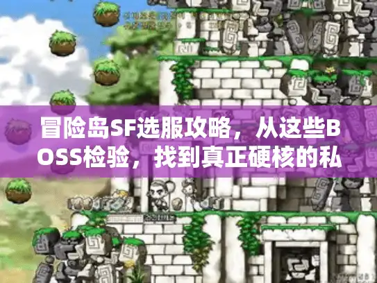 冒险岛SF选服攻略，从这些BOSS检验，找到真正硬核的私服！