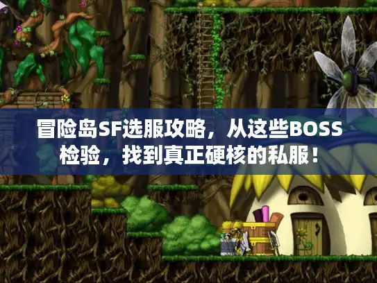 冒险岛SF选服攻略，从这些BOSS检验，找到真正硬核的私服！