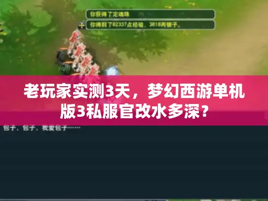 老玩家实测3天，梦幻西游单机版3私服官改水多深？
