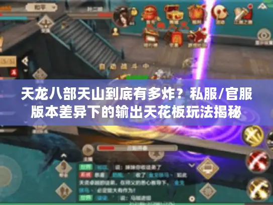 天龙八部天山到底有多炸?私服/官服版本差异下的输出天花板玩法揭秘 天龙八部天山到底有多炸?私服/官服版本差异下的输出天花板玩法揭秘