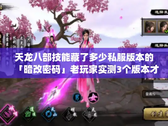 天龙八部技能藏了多少私服版本的「暗改密码」老玩家实测3个版本才懂的伤害门道