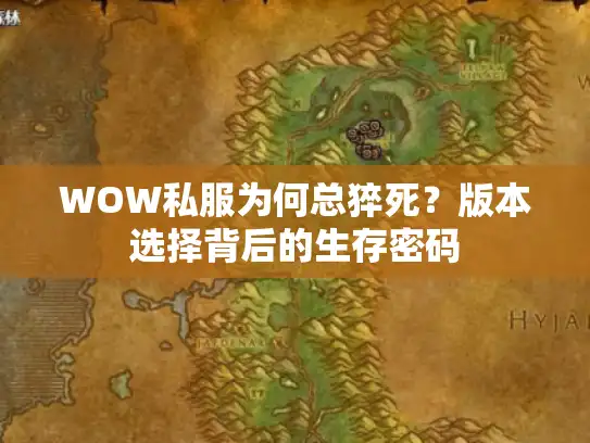 WOW私服为何总猝死？版本选择背后的生存密码