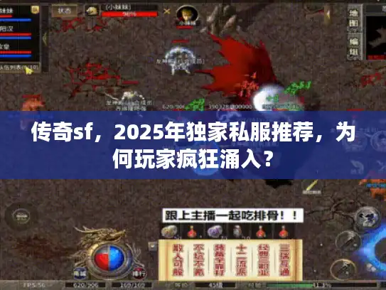 传奇sf，2025年独家私服推荐，为何玩家疯狂涌入？