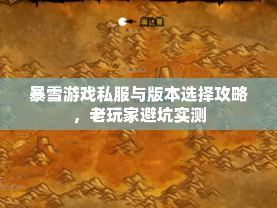 暴雪游戏私服与版本选择攻略，老玩家避坑实测