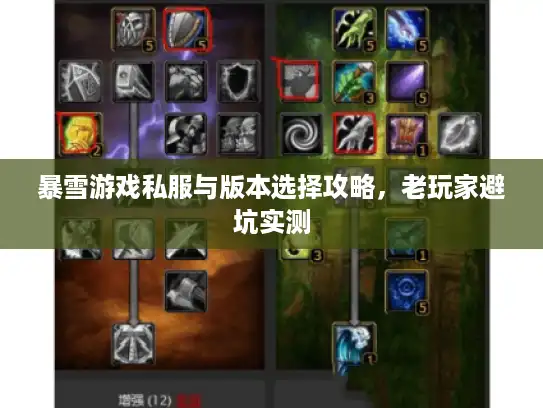 暴雪游戏私服与版本选择攻略，老玩家避坑实测