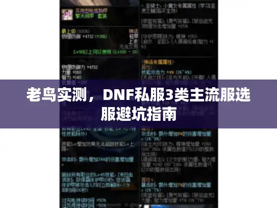 老鸟实测，DNF私服3类主流服选服避坑指南
