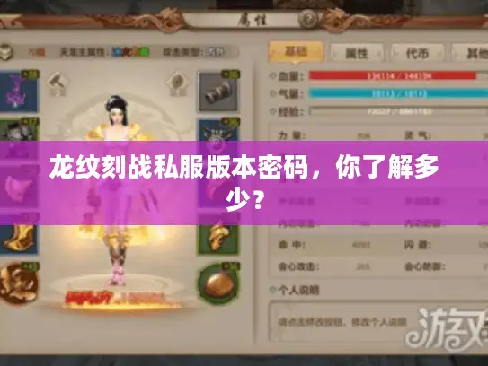 龙纹刻战私服版本密码，你了解多少？
