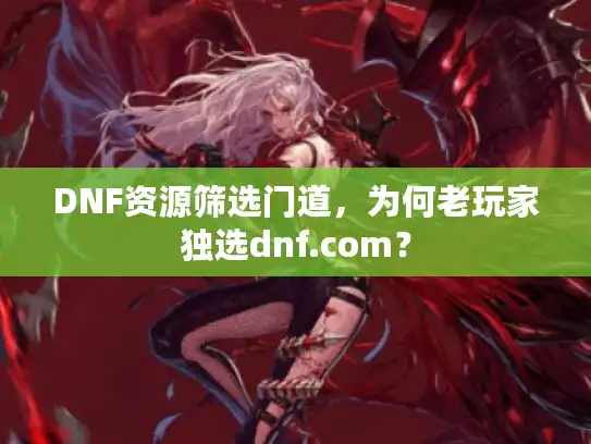 DNF资源筛选门道，为何老玩家独选dnf.com？