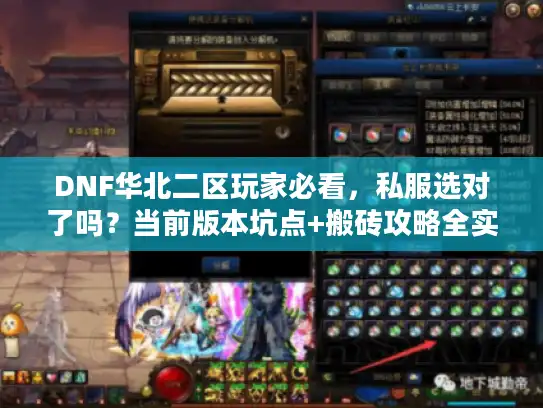 DNF华北二区玩家必看，私服选对了吗？当前版本坑点+搬砖攻略全实测