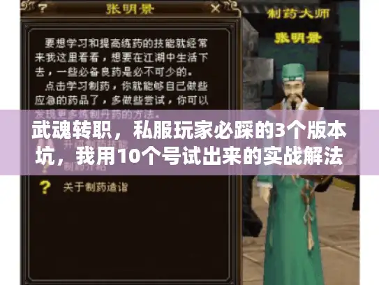 武魂转职,私服玩家必踩的3个版本坑,我用10个号试出来的实战解法 武魂转职,私服玩家必踩的3个版本坑,我用10个号试出来的实战解法