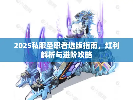 2025私服圣职者选版指南，红利解析与进阶攻略