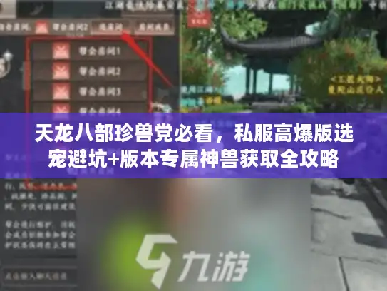 天龙八部珍兽党必看，私服高爆版选宠避坑+版本专属神兽获取全攻略