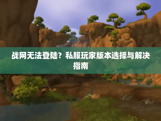 战网无法登陆？私服玩家版本选择与解决指南
