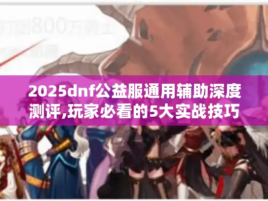 2025dnf公益服通用辅助深度测评,玩家必看的5大实战技巧