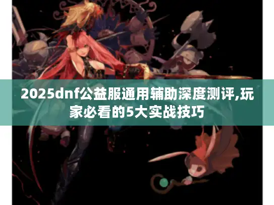 2025dnf公益服通用辅助深度测评,玩家必看的5大实战技巧