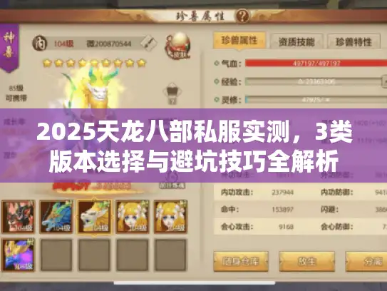 2025天龙八部私服实测，3类版本选择与避坑技巧全解析