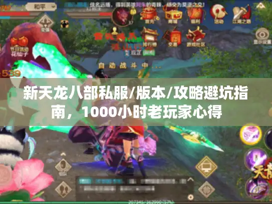 新天龙八部私服/版本/攻略避坑指南，1000小时老玩家心得