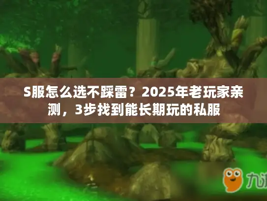 S服怎么选不踩雷?2025年老玩家亲测,3步找到能长期玩的私服 S服怎么选不踩雷?2025年老玩家亲测,3步找到能长期玩的私服