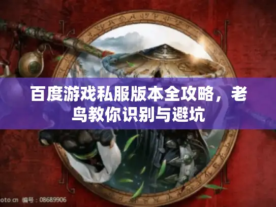 百度游戏私服版本全攻略，老鸟教你识别与避坑