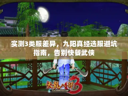 实测3类服差异,九阳真经选服避坑指南,告别快餐武侠 实测3类服差异,九阳真经选服避坑指南,告别快餐武侠