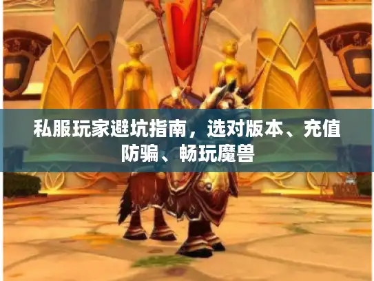 私服玩家避坑指南，选对版本、充值防骗、畅玩魔兽