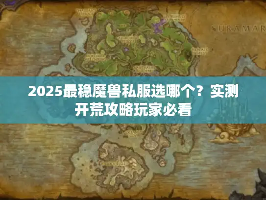 2025最稳魔兽私服选哪个？实测开荒攻略玩家必看