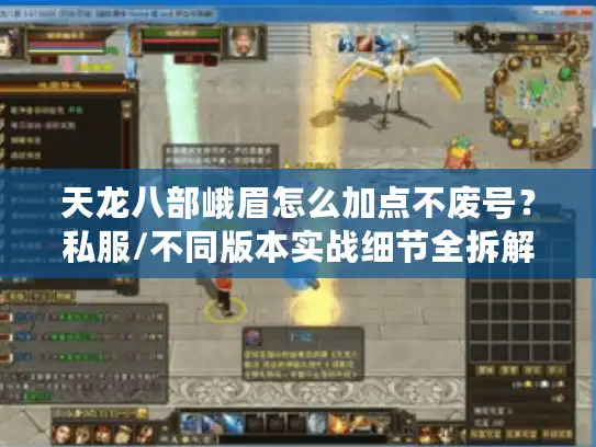 天龙八部峨眉怎么加点不废号?私服/不同版本实战细节全拆解 天龙八部峨眉怎么加点不废号?私服/不同版本实战细节全拆解