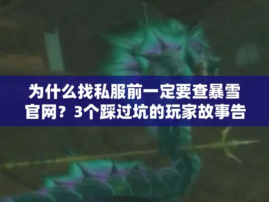 为什么找私服前一定要查暴雪官网？3个踩过坑的玩家故事告诉你