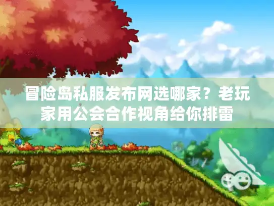 冒险岛私服发布网选哪家？老玩家用公会合作视角给你排雷