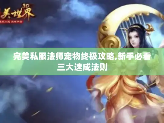 完美私服法师宠物终极攻略,新手必看三大速成法则