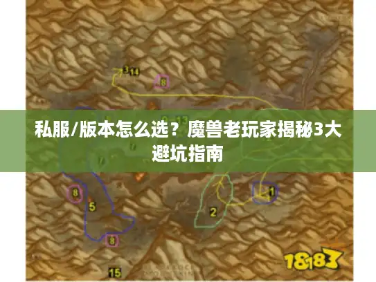 私服/版本怎么选？魔兽老玩家揭秘3大避坑指南